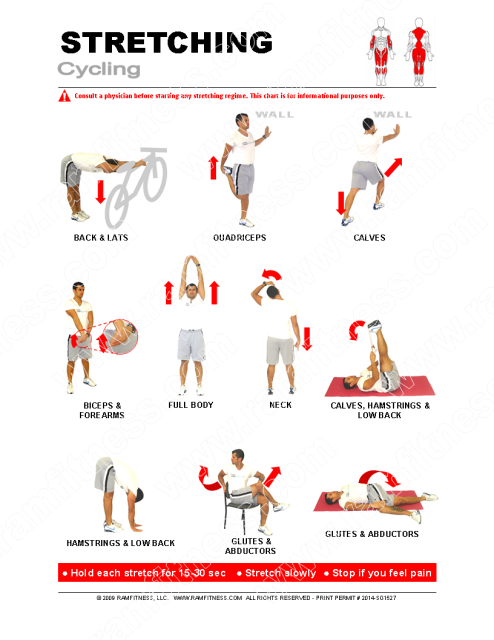 Cycling Stretching Guide